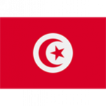 Tunisian French